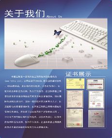 上海聯啟網絡科技 引領未來的網絡技術開發專家