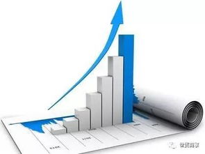 網(wǎng)站不優(yōu)化，信息咨詢服務(wù)將面臨的挑戰(zhàn)與機(jī)遇